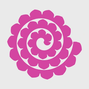 Cabbage rose paper flower template with broad overlapping ogee petals