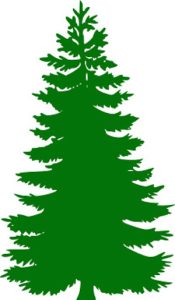 Pine tree template stencil, pattern, template, clipart, design, printable, decoration, cricut, coloring page, winter, window, snow,  vector, svg, glow forge, download, free, ornament