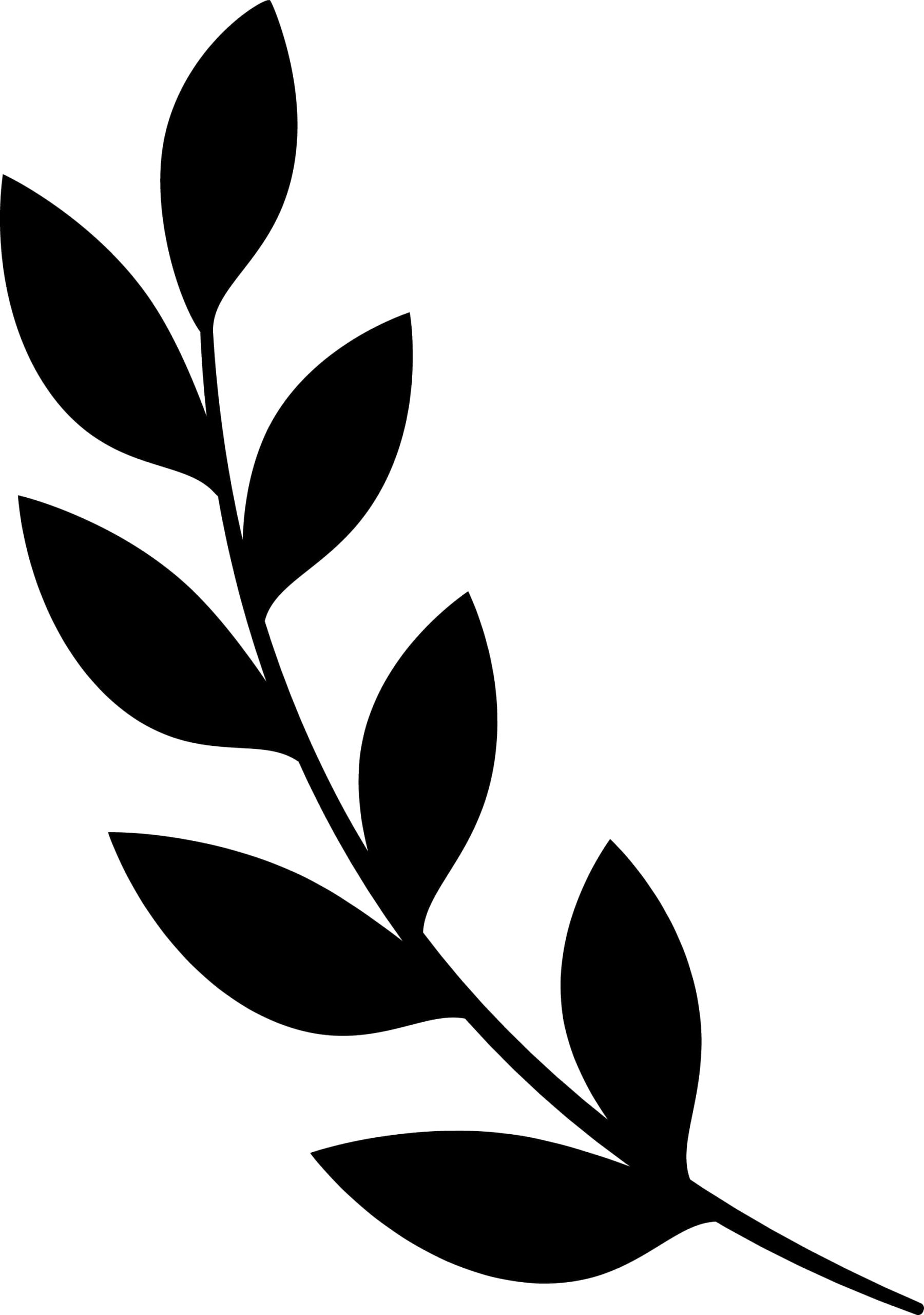 45 Paper Leaves Svg Bundle Leaf Templates Branches Sv - vrogue.co