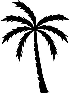 Palm Tree , Beach Bundle, Beach Bundle SVG, Cricut, download, svg clipart designs