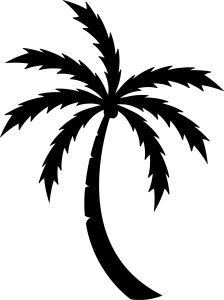 Palm Tree Beach , Beach Bundle, Beach Bundle SVG, Cricut, download, svg clipart designs