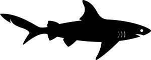 Shark Silhouette, Beach Bundle, Beach Bundle SVG, Cricut, download, svg clipart designs