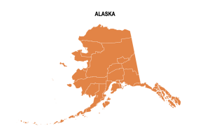 Free alaska colored blank county, map, printable, state, outline, shape, county lines, pattern, template, download.