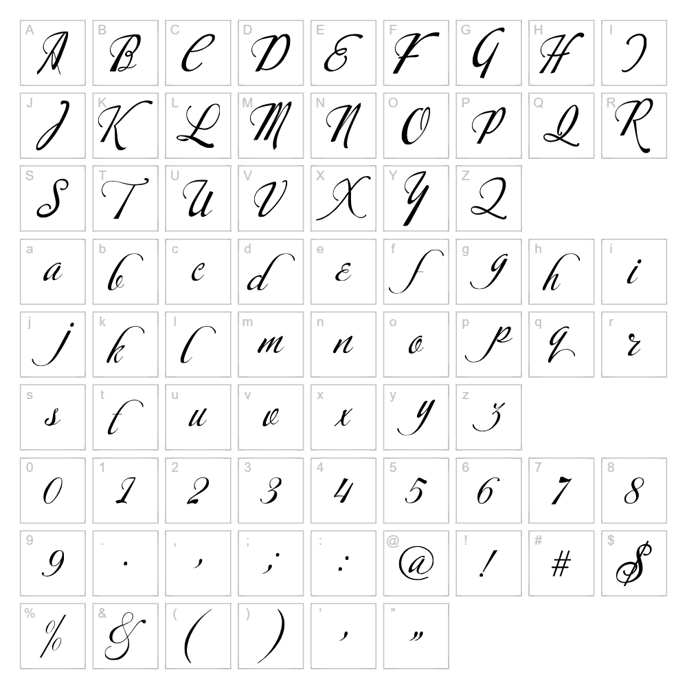 Calligraphy Font - Vectordad