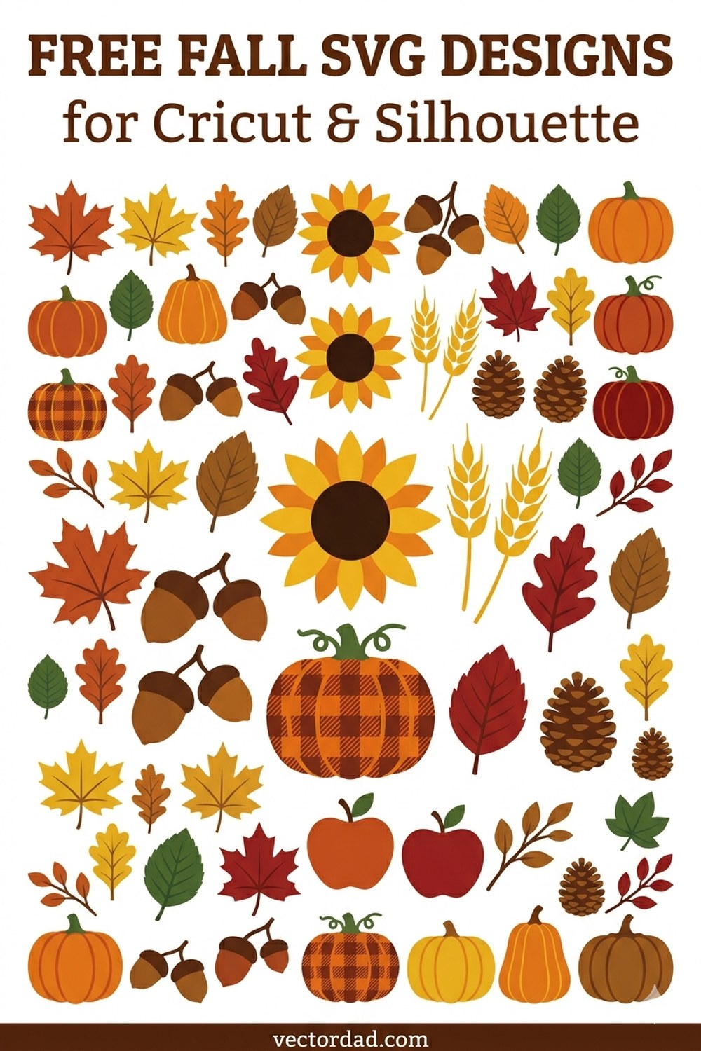 Fall SVG designs Pinterest pin - free fall and autumn cut files for Cricut and Silhouette from VectorDad