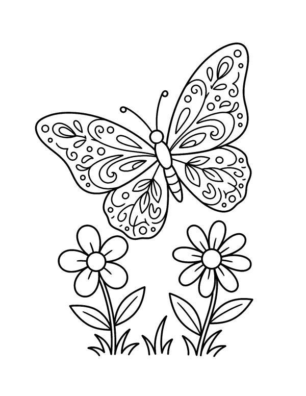 Beautiful Butterfly animal coloring page - free printable