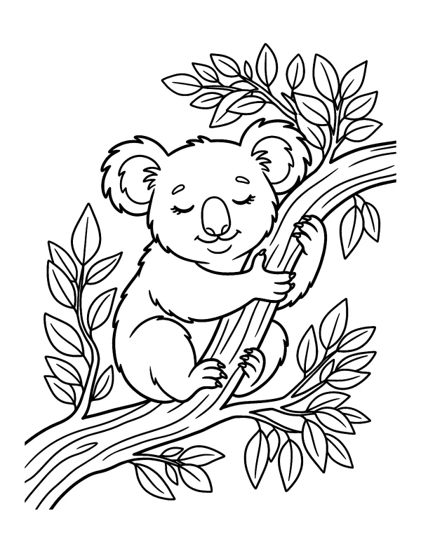 Sleepy Koala animal coloring page - free printable