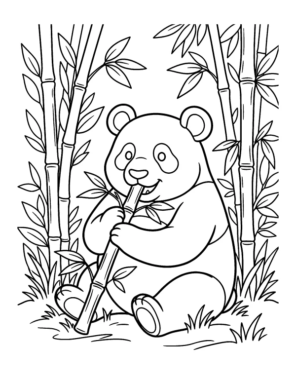 Panda Bear animal coloring page - free printable