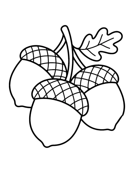 Acorn Cluster fall coloring page - free printable