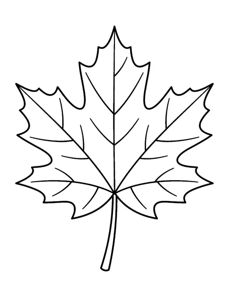 Maple Leaf fall coloring page - free printable