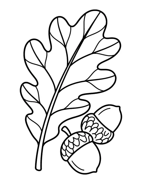 Oak Leaf and Acorns fall coloring page - free printable