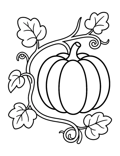Pumpkin on a Vine fall coloring page - free printable