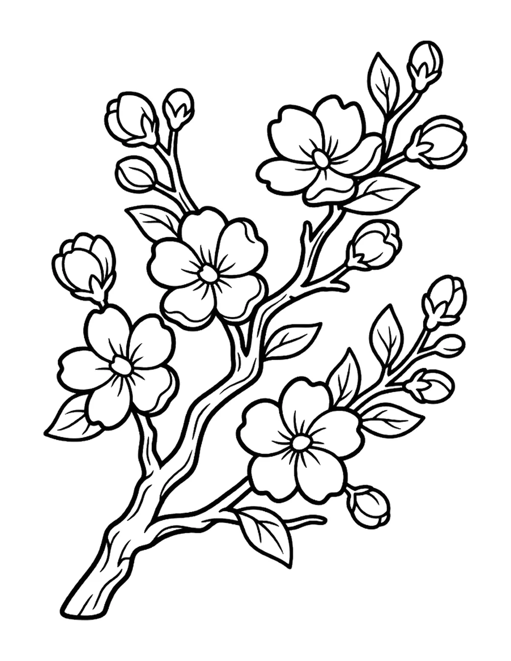 Cherry Blossom bold and easy coloring page printable