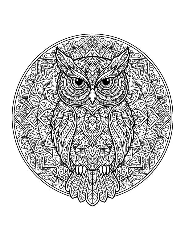 Owl mandala coloring page - free printable