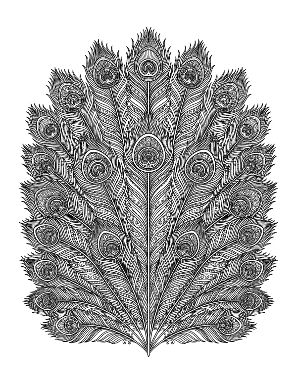 Peacock Feather mandala coloring page - free printable