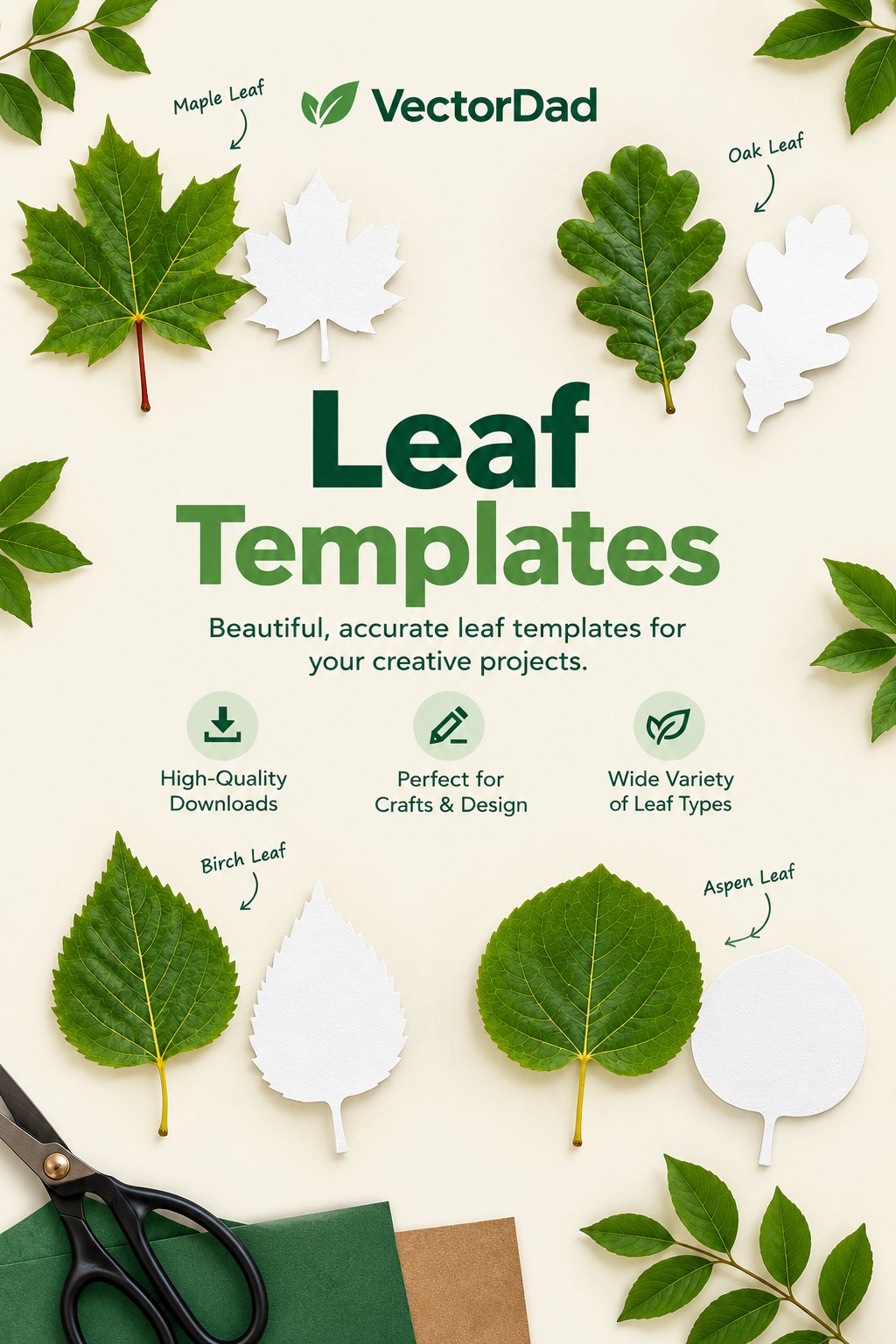Free printable leaf templates β 20 leaves with outlines and stencils from VectorDad